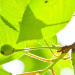 建築施工管理技士の独学学習記録