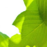 建築施工管理技士の独学学習記録