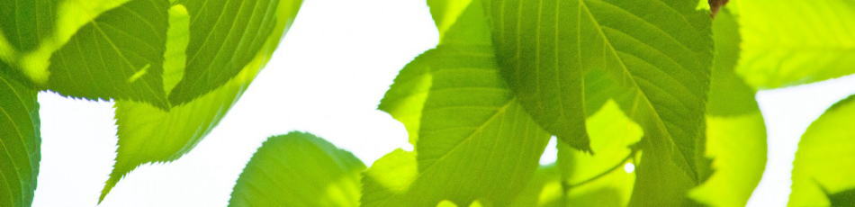 建築施工管理技士の独学学習記録